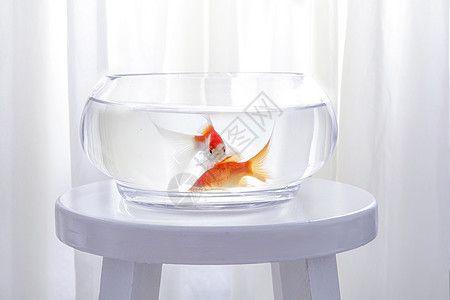 魚缸圖片大全大圖