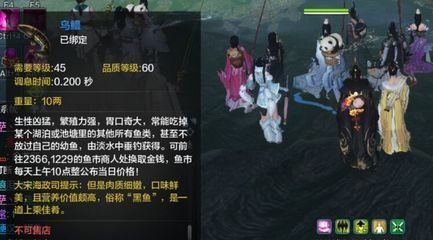 金龍魚品質等級：金龍魚品質等級詳解金龍魚品質等級及其相應的特征 金龍魚品質等級：金龍魚品質等級詳解金龍魚品質等級及其相應的特征 龍魚百科
