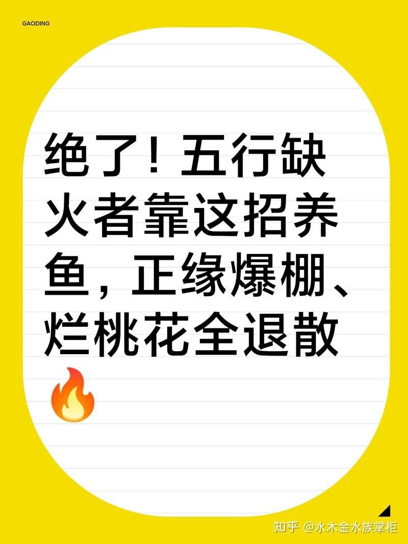 屬狗者適合養(yǎng)什么魚？