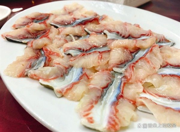 土龍魚是什么魚類的