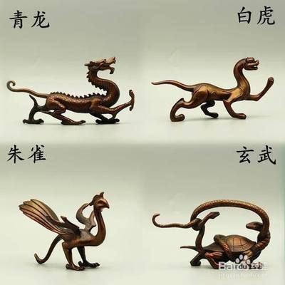 龍魚鳳魚虎魚豬鼻龜：龍魚、鳳魚、豬鼻龜四種觀賞魚的養殖方法與特點