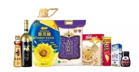 金龍魚調味品事業部總監李(關于金龍魚調味品事業部總監李的建議) 龍魚百科 第5張 金龍魚調味品事業部總監李(關于金龍魚調味品事業部總監李的建議) 金龍魚調味品事業部總監李(關于金龍魚調味品事業部總監李的建議) 龍魚百科 第5張