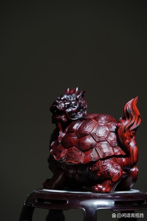 龍龜圖片有哪些常見的尺寸？