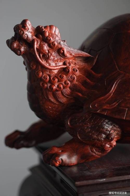 龍龜圖片有哪些常見的尺寸？