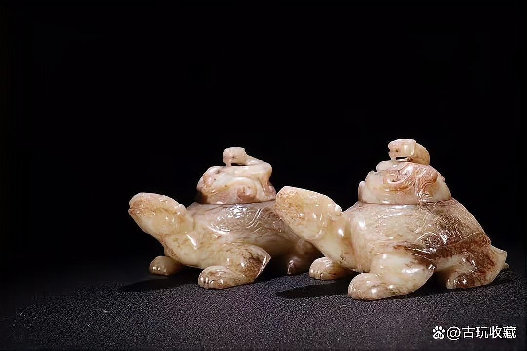 龍龜圖片有哪些常見的尺寸？