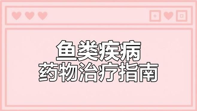 有哪些藥物可以治療龍魚腸炎？