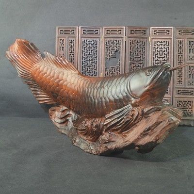 紅木金龍魚有啥說法（關于紅木金龍魚的問題）