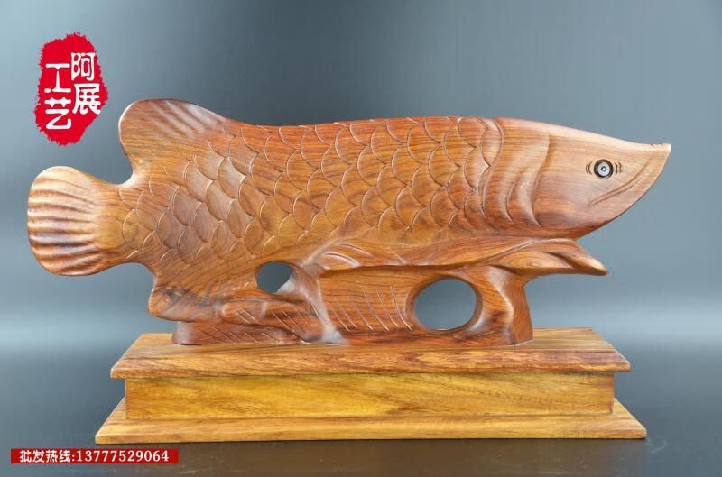 紅木金龍魚有啥說法（關于紅木金龍魚的問題）