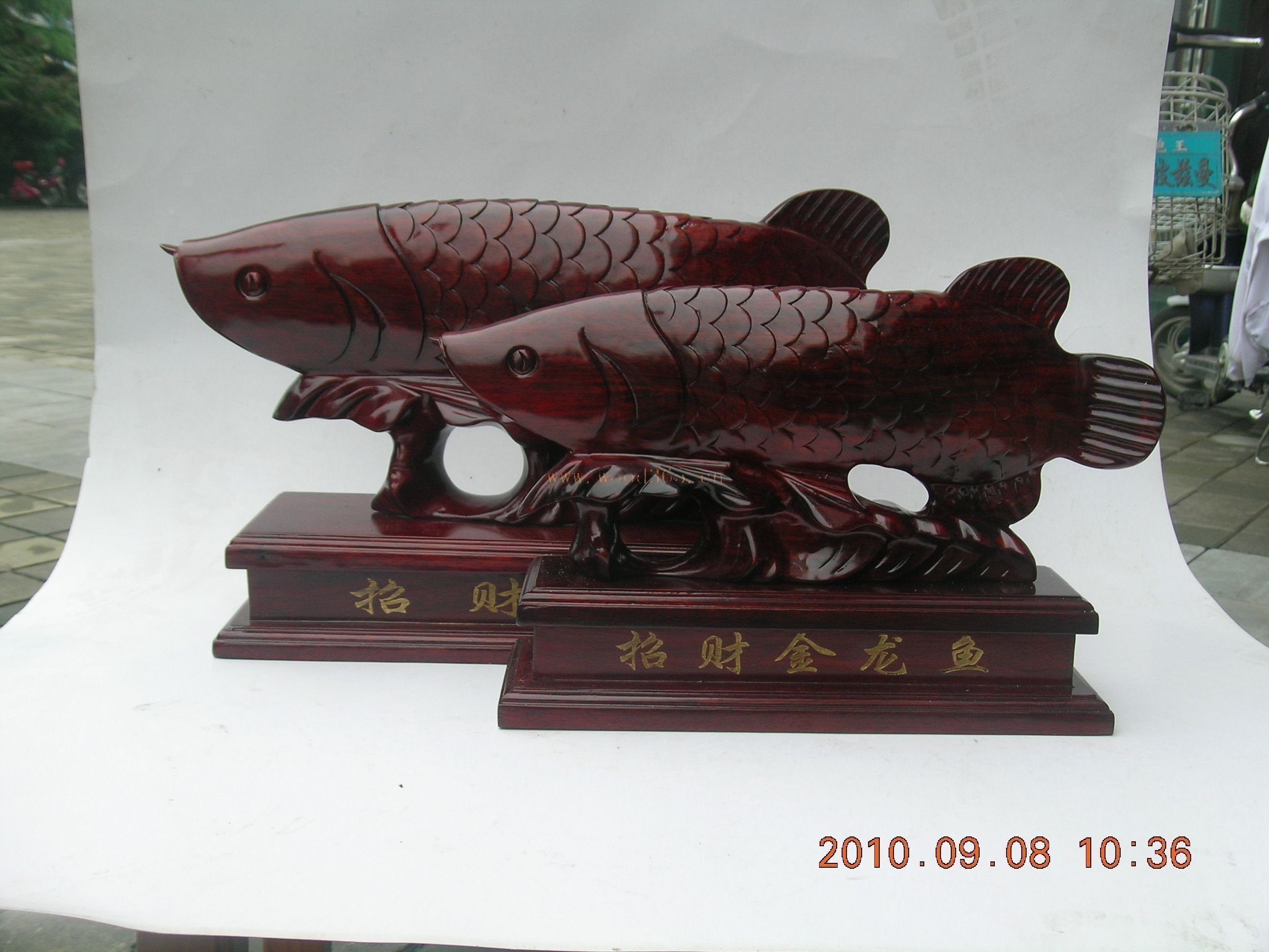 紅木金龍魚有啥說法（關于紅木金龍魚的問題）