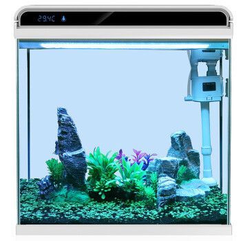 HKPZ魚(yú)缸（hkpz金品水族側(cè)濾魚(yú)缸） HKPZ魚(yú)缸（hkpz金品水族側(cè)濾魚(yú)缸） 龍魚(yú)百科 第5張