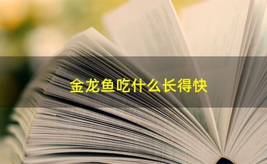 20cm金龍魚一天喂幾次最好呢（20cm的金龍魚一天喂多少次食金龍魚一天喂多少次）