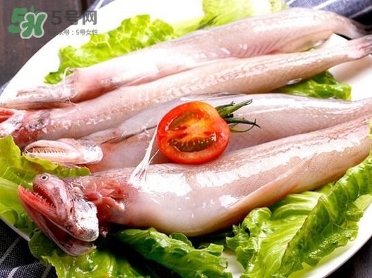 龍魚是海鮮嗎：龍魚屬于海鮮嗎？