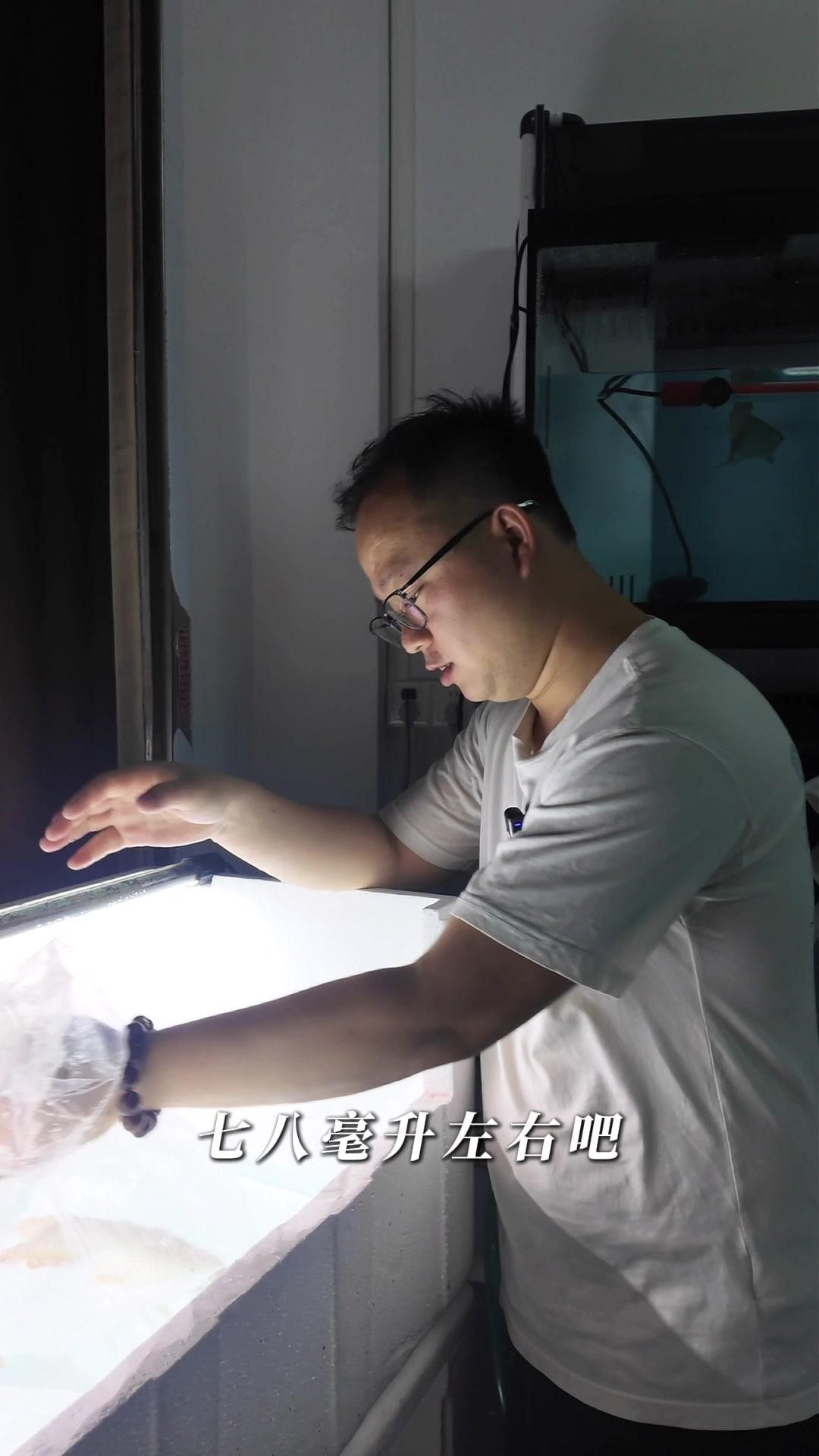 如何判斷龍魚是否完全麻醉？ 如何判斷龍魚是否完全麻醉？ 龍魚百科 第5張