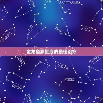 金龍魚為什么老是在缸底下游動，探究金龍魚在魚缸底部游動的原因 金龍魚為什么老是在缸底下游動，探究金龍魚在魚缸底部游動的原因 龍魚百科 第3張