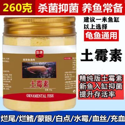 龍魚(yú)腸炎土霉素用量：使用土霉素治療龍魚(yú)腸炎需要注意什么？