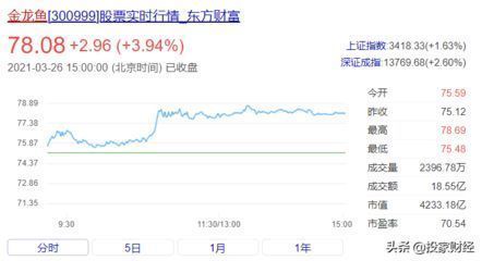 金龍魚背后的資本是高盛：金龍魚背后的資本是高盛嗎？
