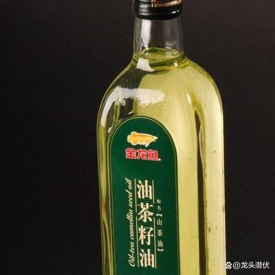 紅龍魚眼睛往里凹怎么回事圖片大全視頻教程（紅龍魚眼睛往里凹怎么回事圖片大全視頻教程）