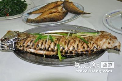 龍魚是否可以吃煮熟的蝦（關于龍魚可以吃煮熟的蝦，存在不同的觀點和建議和建議） 龍魚是否可以吃煮熟的蝦（關于龍魚可以吃煮熟的蝦，存在不同的觀點和建議和建議） 龍魚百科 第4張
