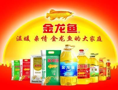 金龍魚售后服務電話，關于金龍魚售后服務的公告 金龍魚售后服務電話，關于金龍魚售后服務的公告 龍魚百科 第3張