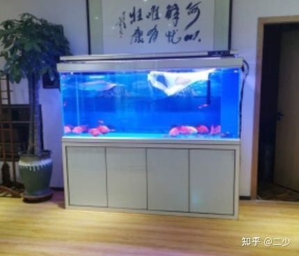 魚缸哪個牌子質量好又實惠，如何德克魚缸適合養哪些魚意牌魚缸售后保障