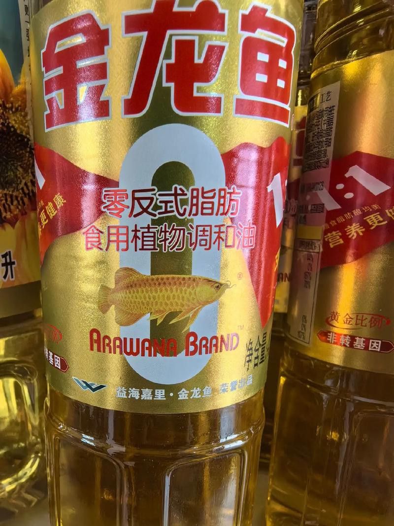 金龍魚是中國 金龍魚是中國 龍魚百科 第7張