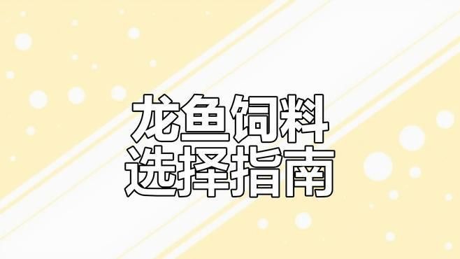 龜增色龍魚食物選擇