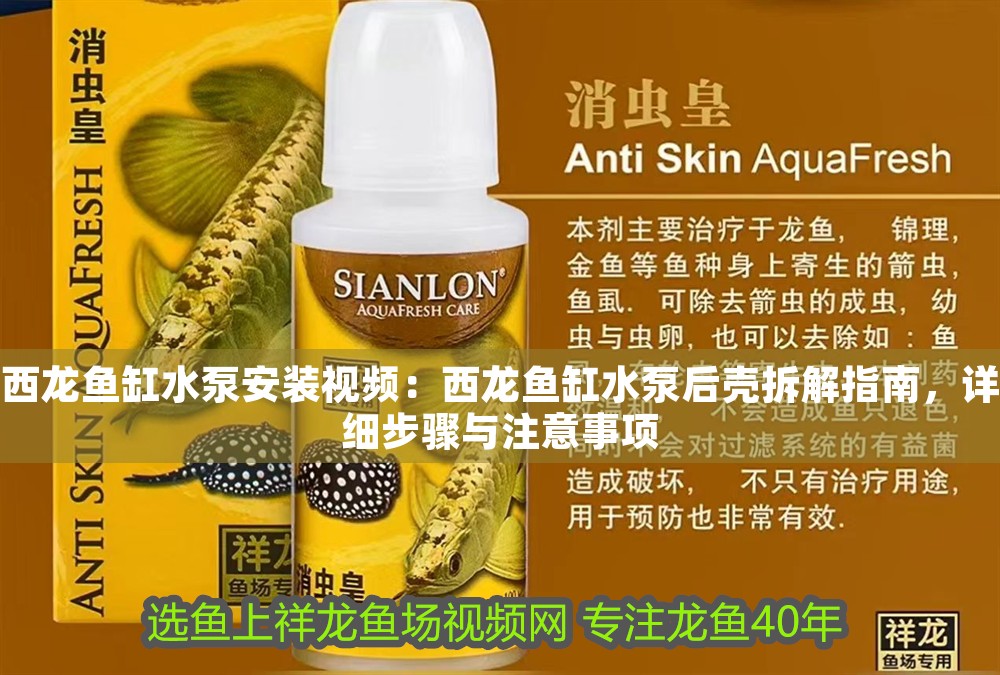 西龍魚缸水泵安裝視頻：西龍魚缸水泵后殼拆解指南，詳細步驟與注意事項 西龍魚缸水泵安裝視頻：西龍魚缸水泵后殼拆解指南，詳細步驟與注意事項 龍魚百科 第1張
