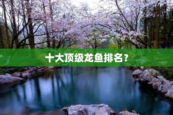 10大頂級紅龍魚