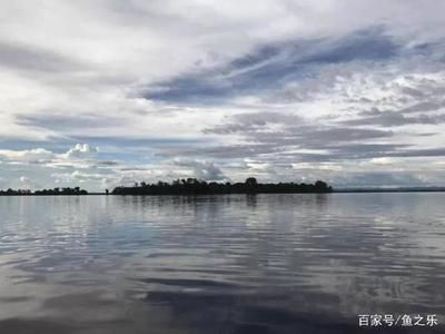 大湖龍魚產(chǎn)地在哪里：大湖龍魚的產(chǎn)地在哪里