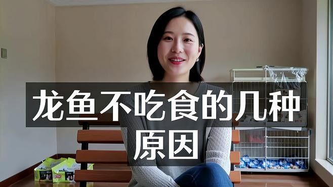 龍魚吃食正常不愛游動怎么回事