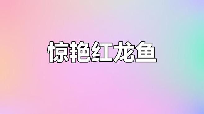 紅龍魚圖片高清頭像大全集