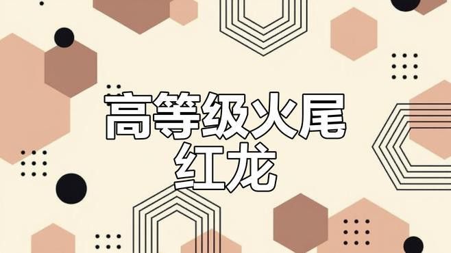 紅龍魚圖片高清頭像大全集