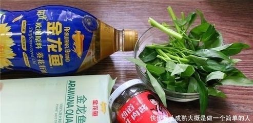 金龍魚不吃食可以下鹽嗎【金龍魚不吃食可以下鹽嗎，】 金龍魚不吃食可以下鹽嗎【金龍魚不吃食可以下鹽嗎，】 龍魚百科 第1張