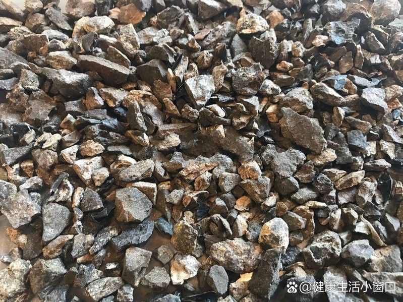 新加坡金龍魚好嗎：新加坡的金龍魚好還是馬來西亞的好？