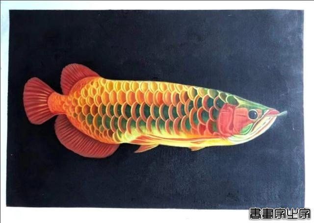 金龍魚畫作的市場價值如何？