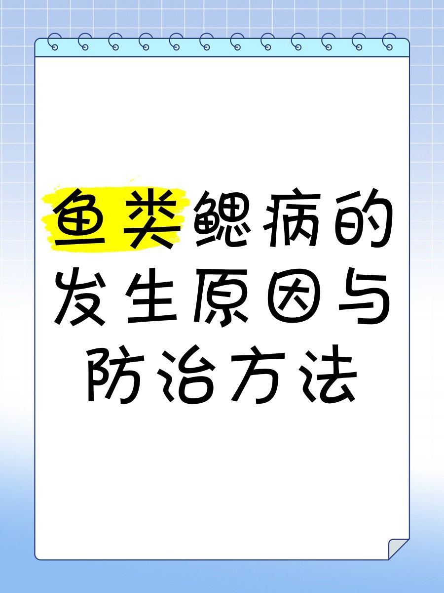 如何預(yù)防龍魚細(xì)菌性爛鰓病？
