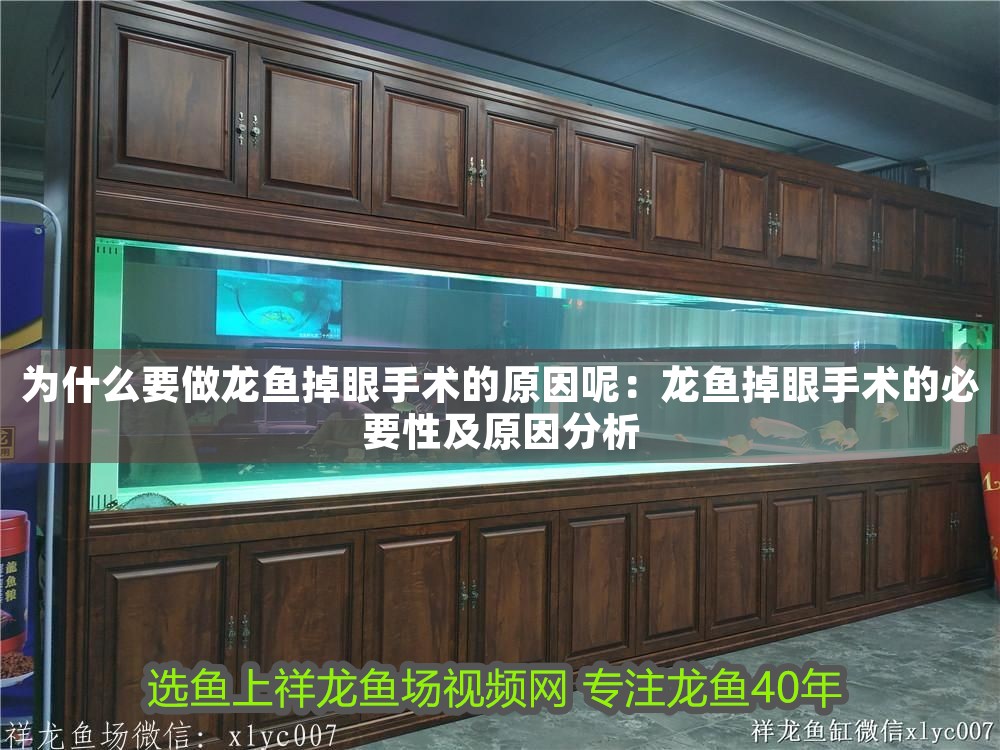 為什么要做龍魚掉眼手術(shù)的原因呢：龍魚掉眼手術(shù)的必要性及原因分析
