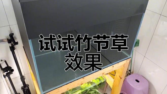 如何減少中草藥治療龍魚蒙眼的副作用？ 如何減少中草藥治療龍魚蒙眼的副作用？ 龍魚百科 第5張