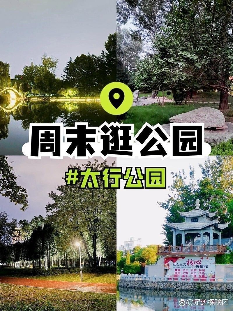 金龍魚市場價格趨勢