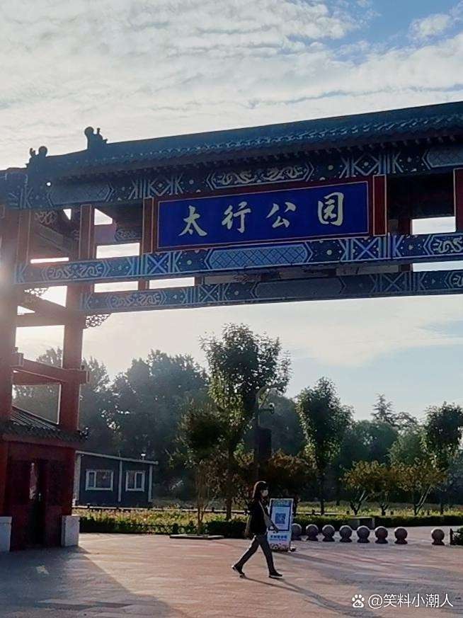 金龍魚市場價格趨勢