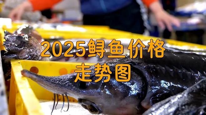鱘龍魚 價格