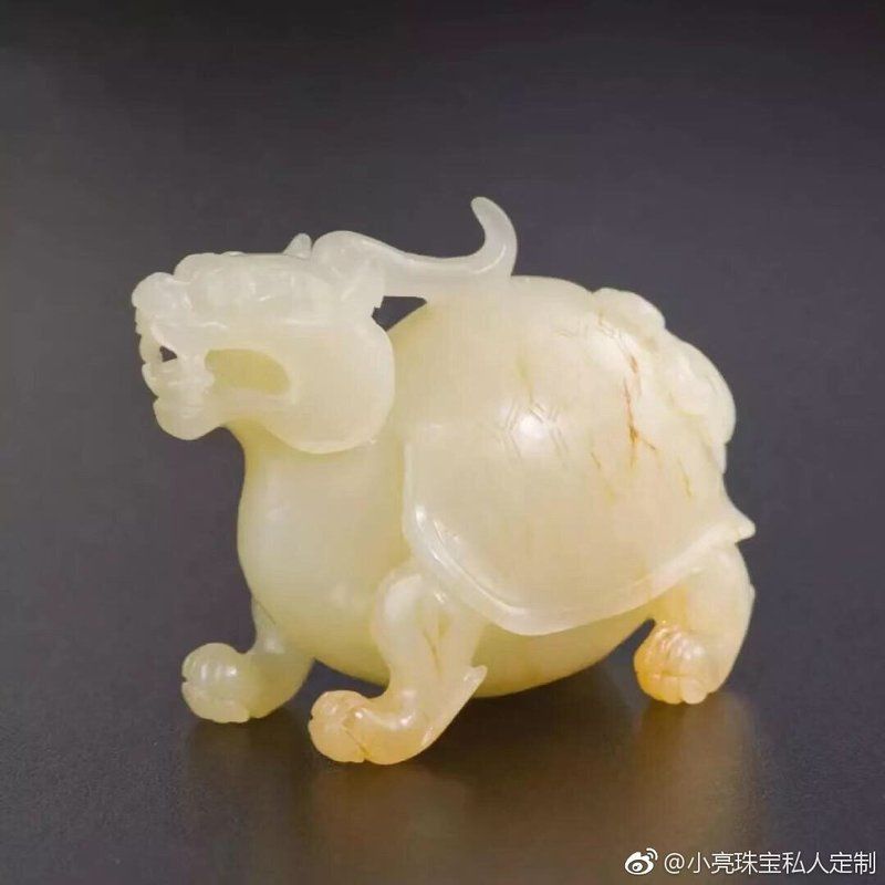 龍龜圖片高清無水印版 龍龜圖片高清無水印版 龍魚百科 第27張
