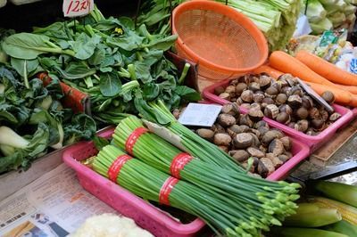 龍魚清菌靈：關于龍魚清菌靈的一些詳細信息