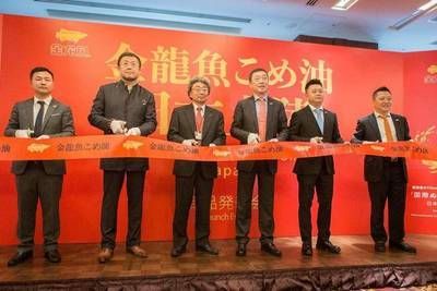 金龍魚銷售經(jīng)理待遇怎么樣啊（金龍魚銷售經(jīng)理待遇怎么樣） 金龍魚銷售經(jīng)理待遇怎么樣啊（金龍魚銷售經(jīng)理待遇怎么樣） 龍魚百科 第4張