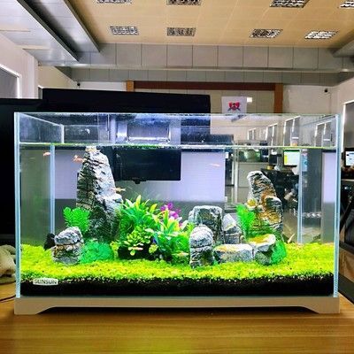老孫龍魚256：“老孫龍魚256”在當代文化中的意義和價值 老孫龍魚256：“老孫龍魚256”在當代文化中的意義和價值 龍魚百科 第5張