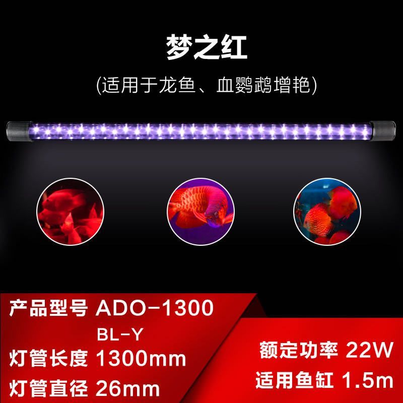 龍魚用什么燈管好一點：led燈與金屬鹵素燈選哪個好