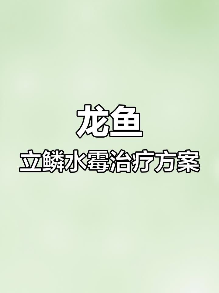 龍魚松鱗病有哪些治療方法？ 龍魚松鱗病有哪些治療方法？ 龍魚百科 第1張