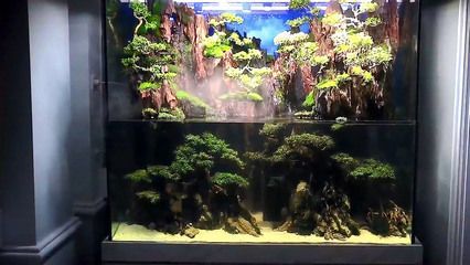 龍魚缸設(shè)計(jì)沉木造景技巧：龍魚缸沉木造景技巧