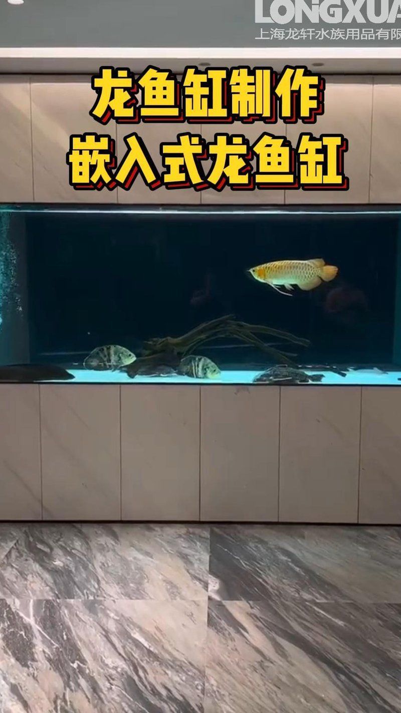 龍魚(yú)缸怎么布置