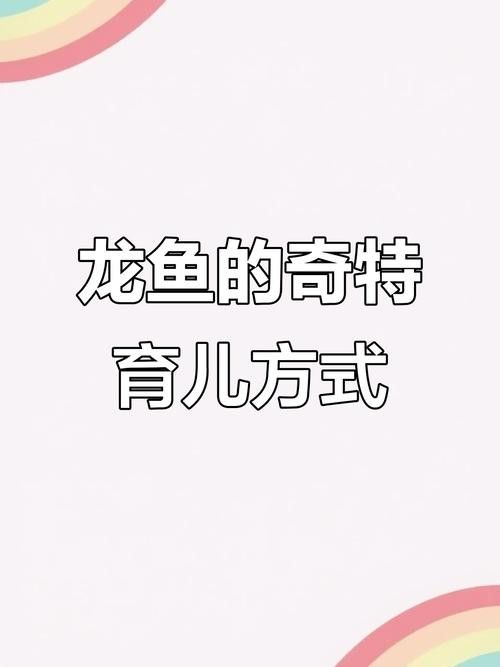 龍魚的卵是什么樣子的圖片 龍魚的卵是什么樣子的圖片 龍魚百科 第37張